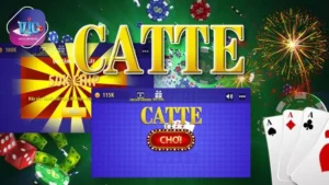 Catte VicClub